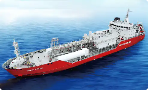 Source Cargo Handling Systems from Top Asian Manufacturers